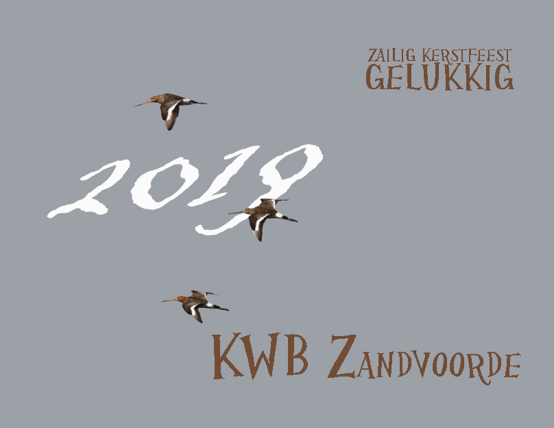 Kwb kerst 2019 2