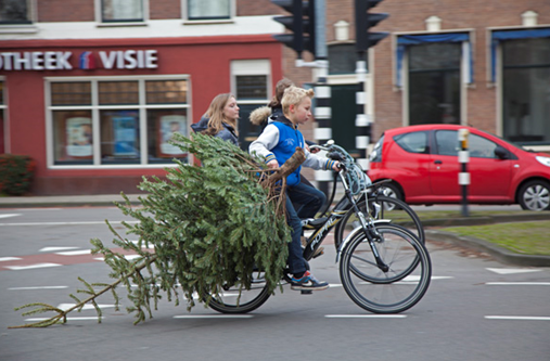 kerstboomverzameling